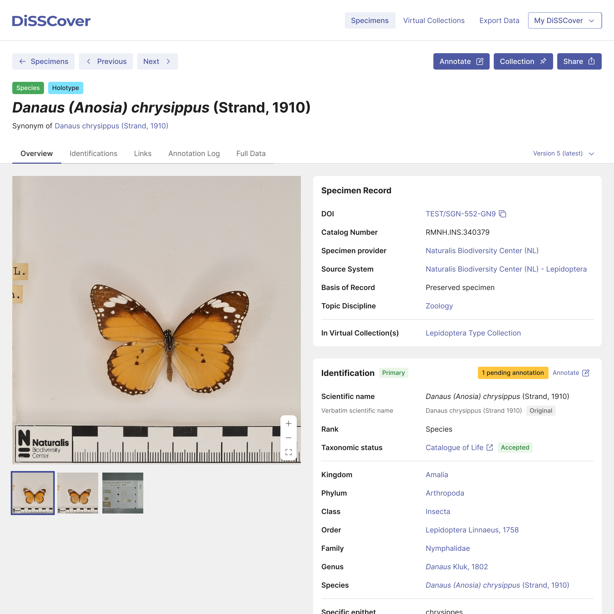 Improved specimen detail page in DiSSCover